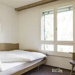 Valaisia Montana, A Faern Collection 4* كرانز مونتانا