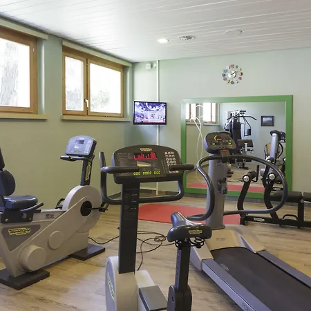 Valaisia Montana, A Faern Collection Crans-Montana