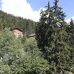 Valaisia Montana, A Faern Collection Hotel Crans-Montana