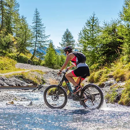 Otel Valaisia Montana, A Faern Collection