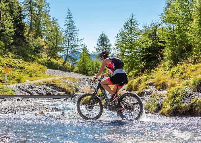 Otel Valaisia Montana, A Faern Collection