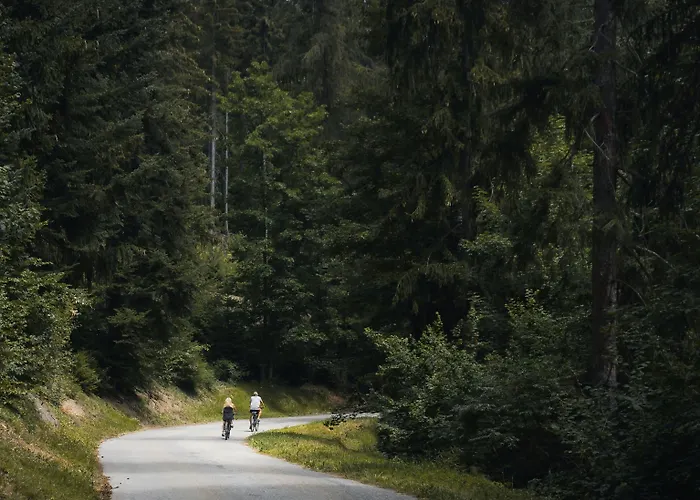 Otel Valaisia Montana, A Faern Collection Crans-Montana