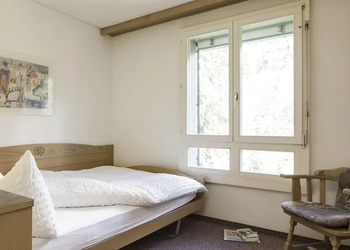 Valaisia Montana, A Faern Collection 4* Κρανς Μοντάνα